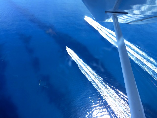 Апельсиняя рыба