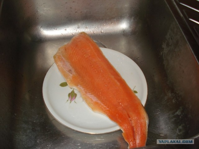 Все из рыбы!