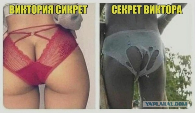 Разной степени баянности пикчи