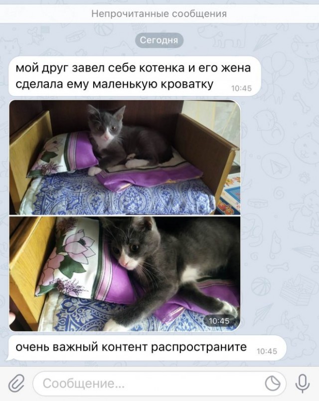 Картинки и мемы для настроения