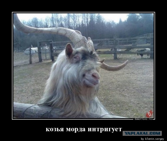 Девушка не дает уже месяц