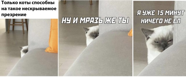 Картинки и мемы для настроения 18.08.2021