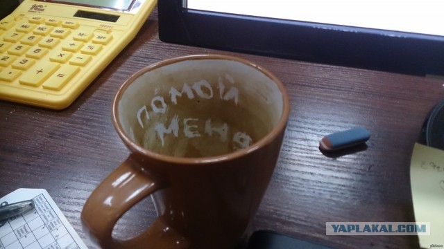 А из какой кружки вы пьёте на работе?