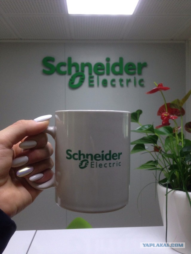 А из какой кружки вы пьёте на работе?