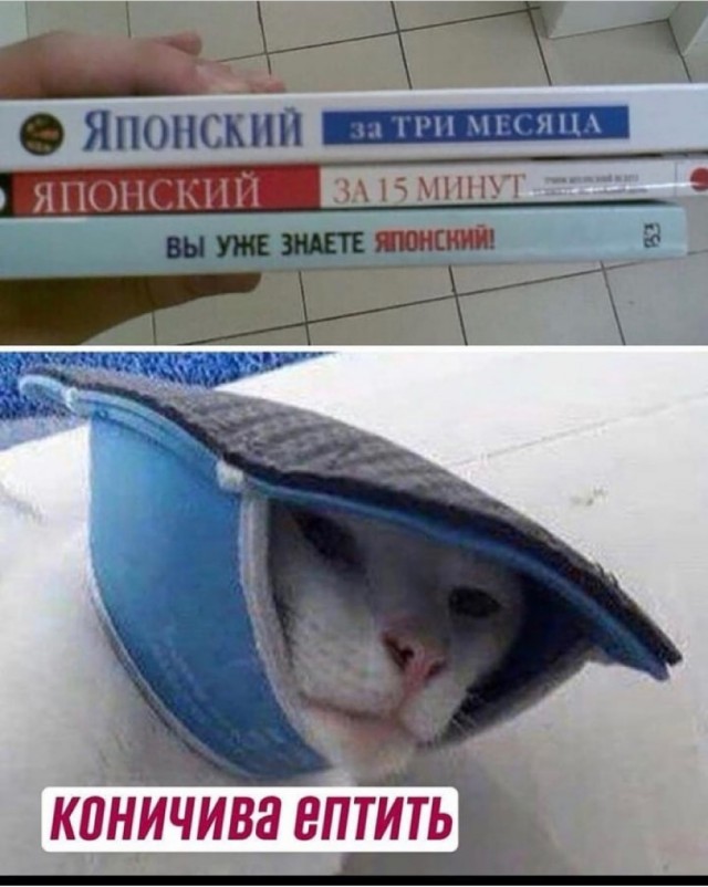 Картинки и мемы, всем прекрасных выходных