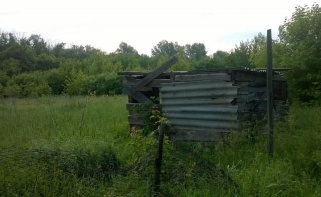 Декабрь на Южном Урале