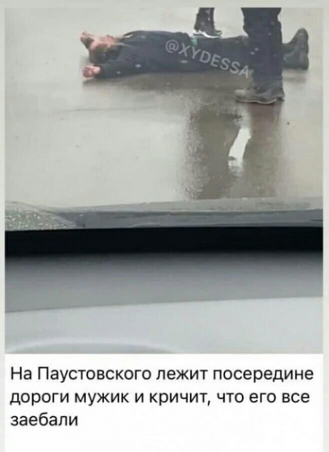 Всяческие картинки 24.12.2021