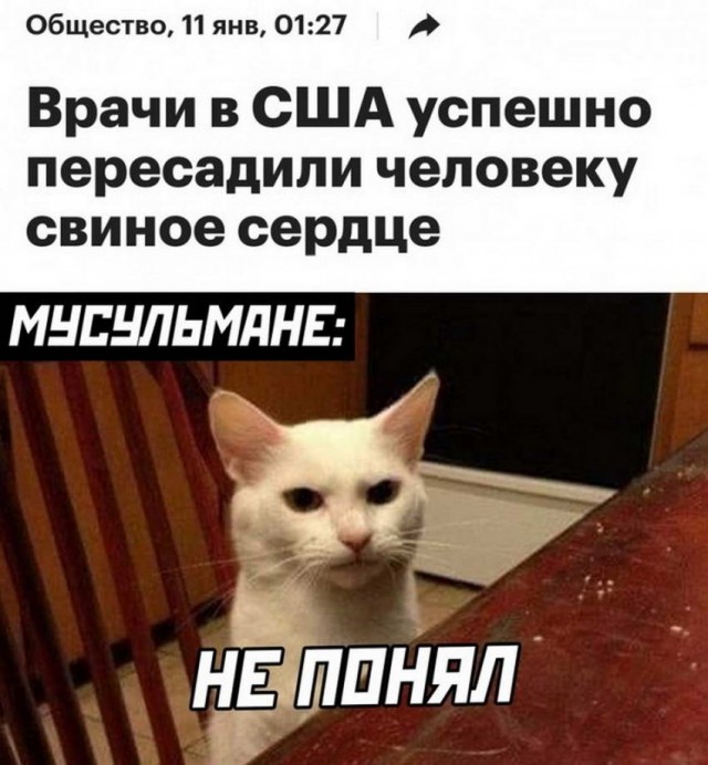 Картинки и мемы для настроения 18.01.2022