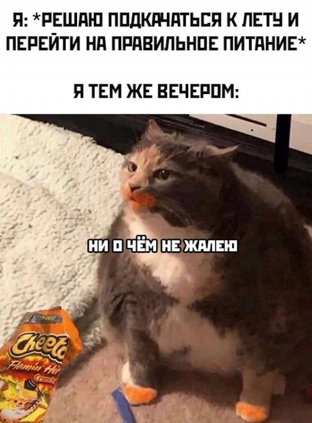 Картинки и мемы, начало праздников