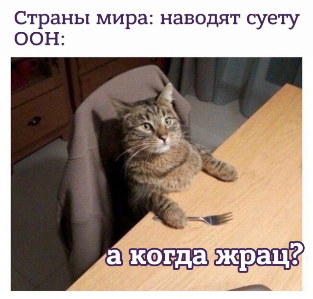 Пандемия съехавших крыш - разновидности болезни. Россия и мир. Часть 38