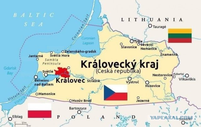 Чехия готовит референдум в Калининградской области