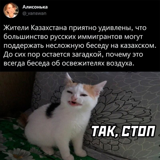 Немного позитива на утро 26.10.2022