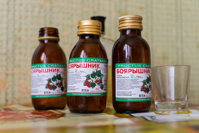 Первые леопарды прибыли
