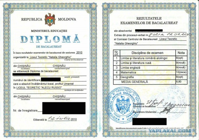 В Молдавии переименовали государственный язык в румынский