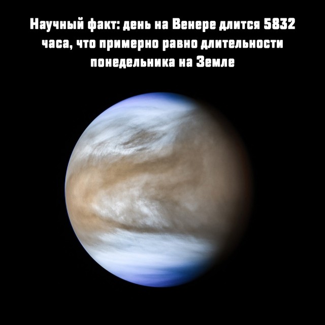 Так себе картинки 08.04.23