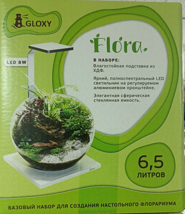 Мои флорариумы