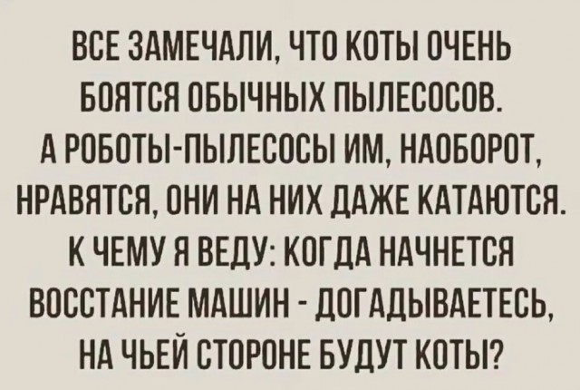 Весёлый полтишок 03.09.23