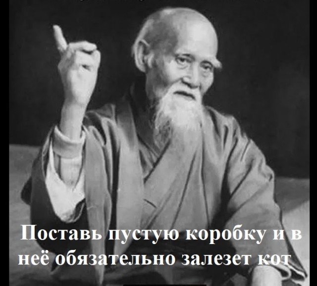 Покупаешь коту дорогую и мягкую лежанку, чтобы ему было максимально комфортно