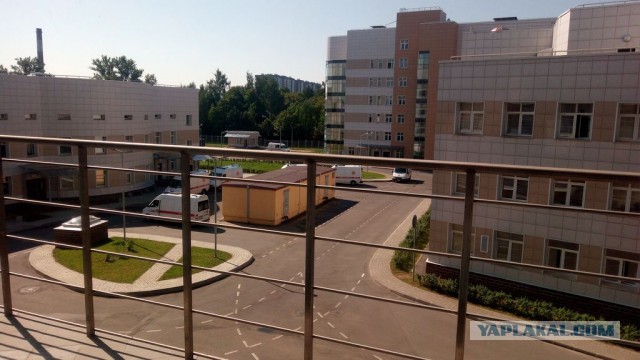 Петербуржец попал в больницу Боткина с инфекцией