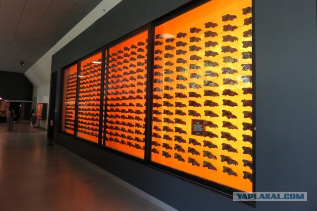 Битумные озера Ла-Брея (La Brea Tar Pits)