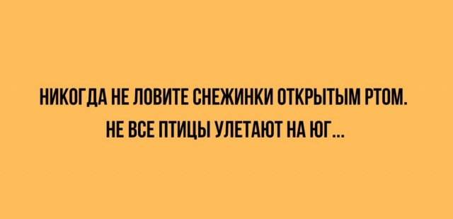 Картинки от Scodero 2024-1