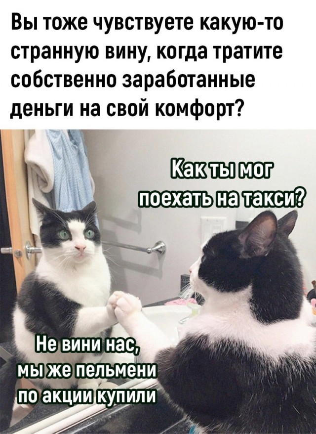 Весёлый полтишок 06.02.24
