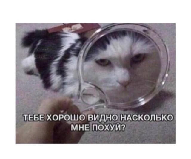 Народная меДИЧина 1033