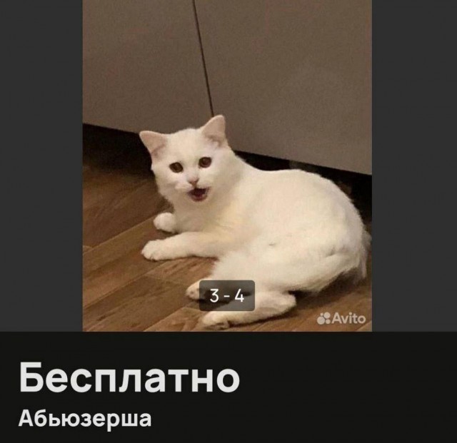 Нуштош 26.06.2024