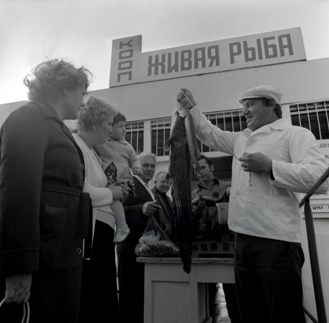 Интересные и редкие ретро-фотографии 08.07.24
