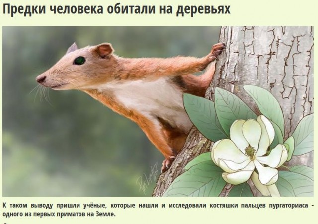 Ануннаки развязали войну между планетами в Солнечной системе. Но флот и созвездия Льва остановил их!
