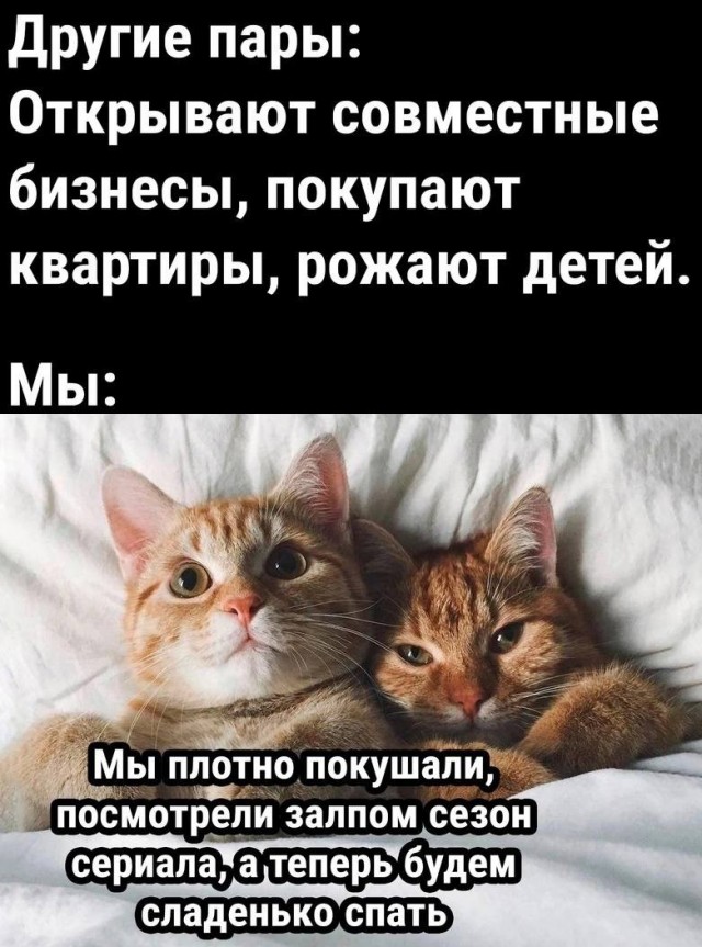 Пятничная солянка