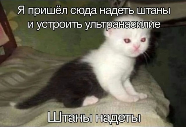 Завалялось тут случайно немного забавных картинок