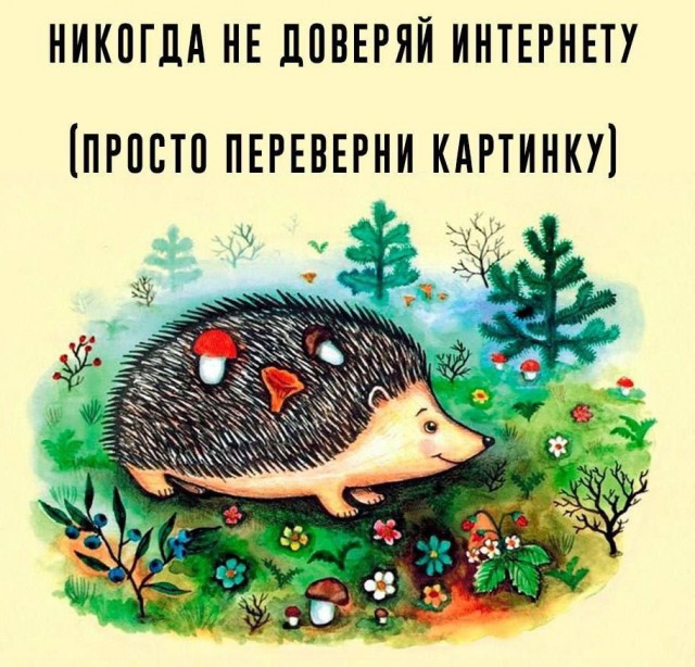 Всего понемногу. От 04.12.2024