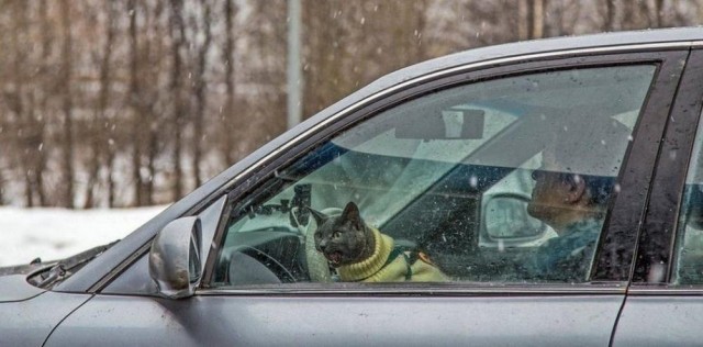 Прикольные и просто красивые картинки 04.12.2024