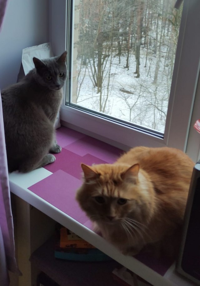 Прошёл год!