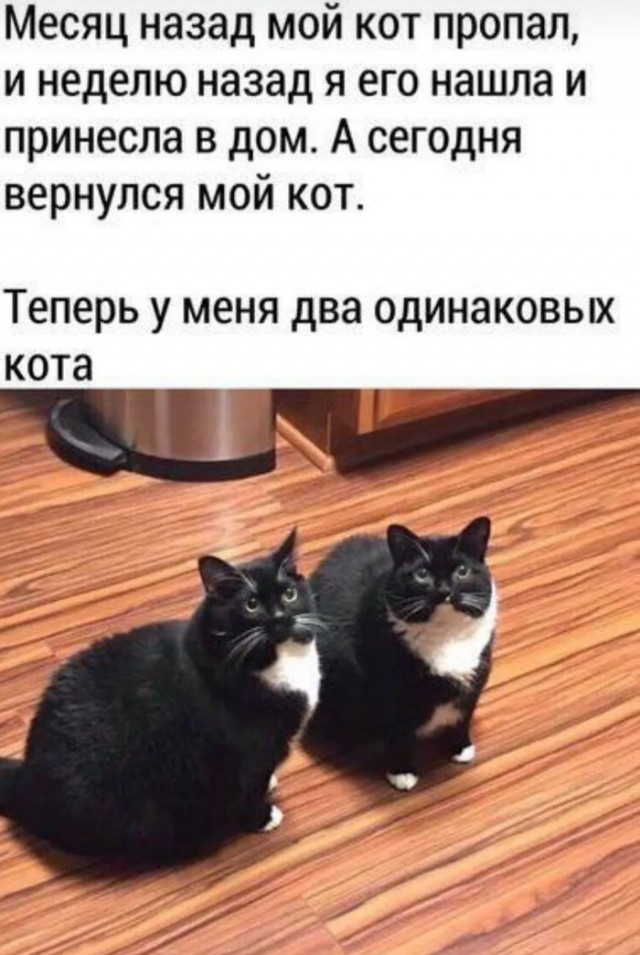 Завалялось тут случайно немного забавных картинок