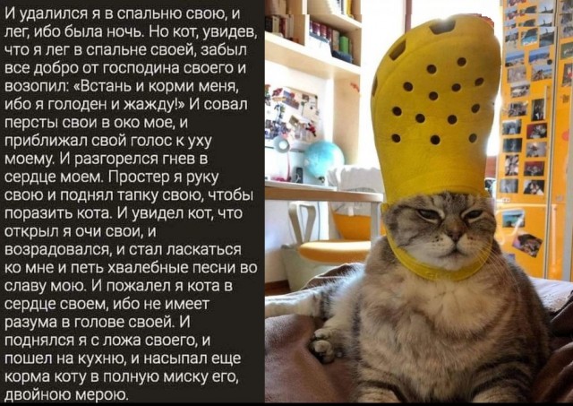 Картинки разные с надписями и без