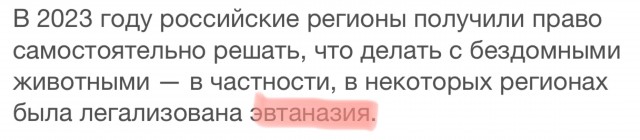 В Госдуме хотят запретить выпускать бродячих собак обратно на улицы, а также разрешить их усыпление