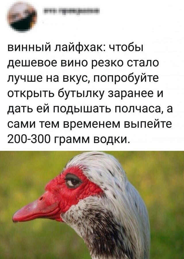 Про культуру пития.