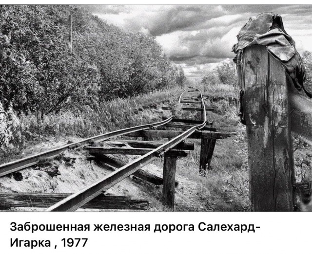 Фотографии о прошлом, открывающие историю с новой стороны 17.07.25