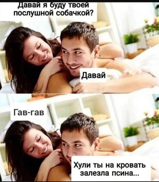 Так себе картинки 09.08.25