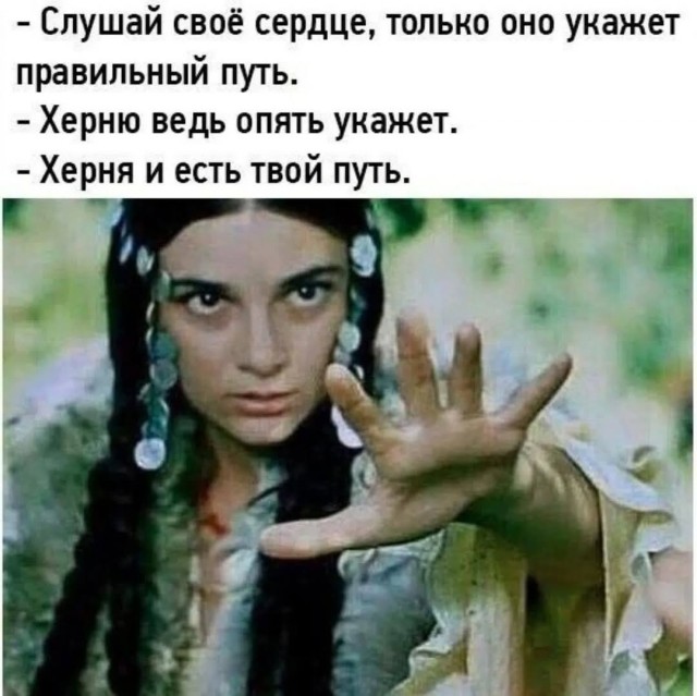 Так себе картинки 24.08.25