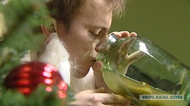 Бары Нью-Йорка предлагают людям попробовать коктейли с рассолом