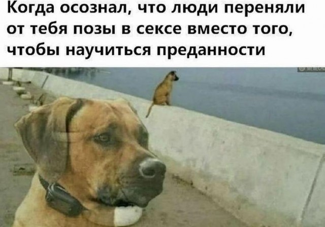 Картинки для деградации 49 (разной степени свежести)