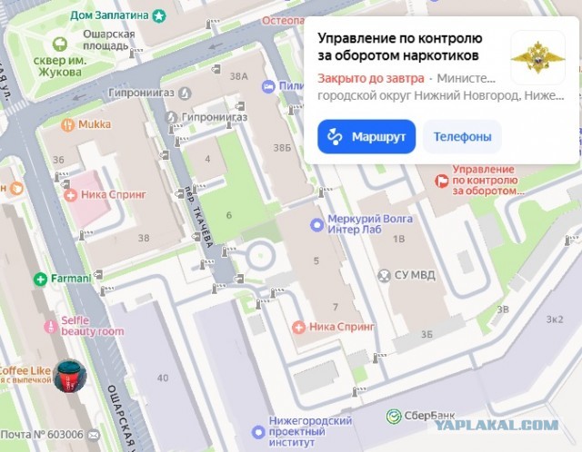 Садоводы сняли скрытой камерой наркоторговцев, выяснили где прячут наркотики и вызвали журналистов