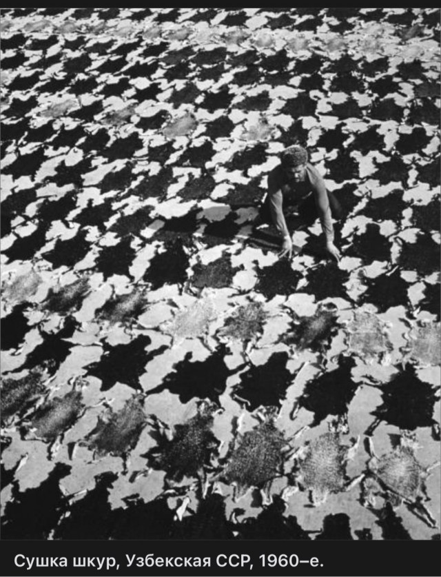 Фотографии из прошлого нашей страны – 119
