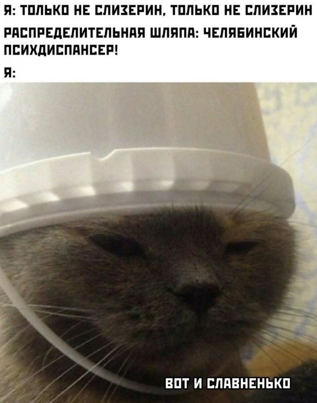 Шляпа фигню не посоветует