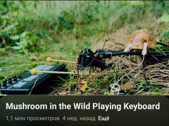 Гриб играет на музыкальный клавиатуре на природе