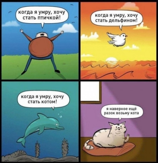 Картинки всякие разные невпопад