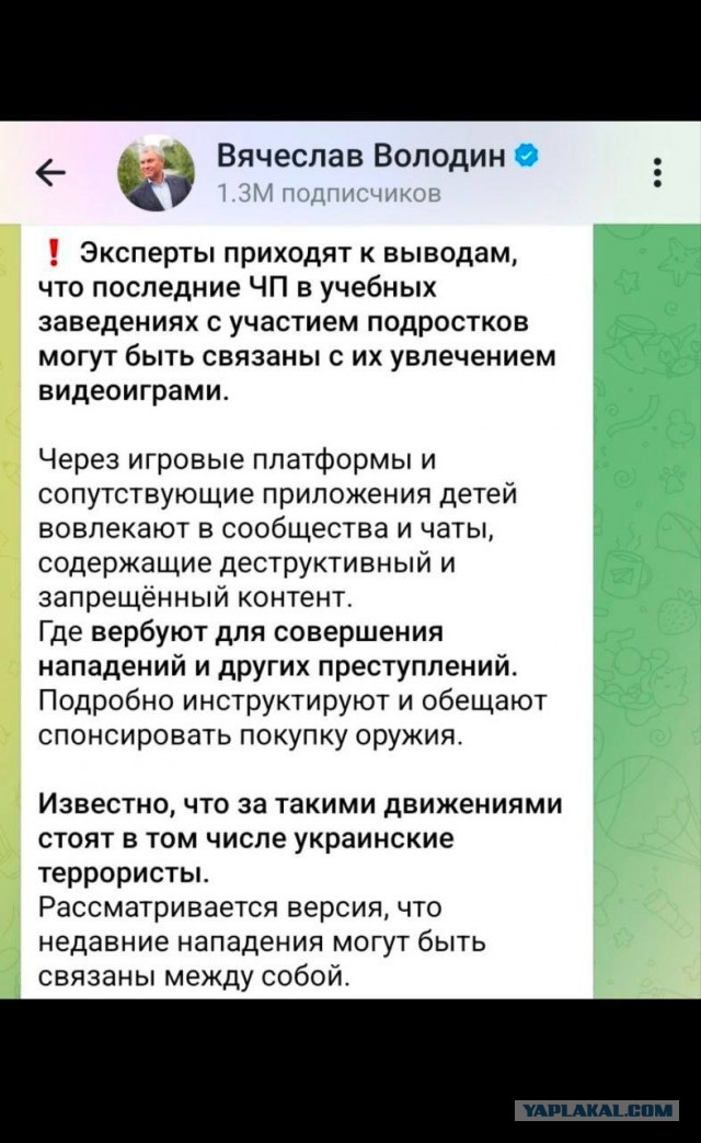 Эксперты приходят к выводам ,что в стрельбе в  школа виноваты компьютерные игры